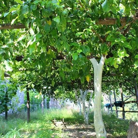 Tenuta Bosco-casa Vacanze