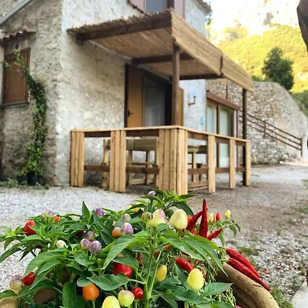Tenuta Bosco-casa Vacanze Holiday home